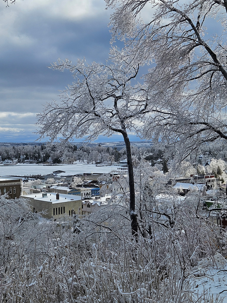 harbor springs 3
